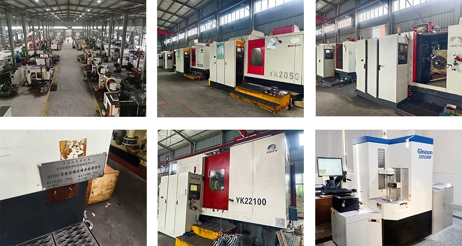 Spiral Bevel Gear 11